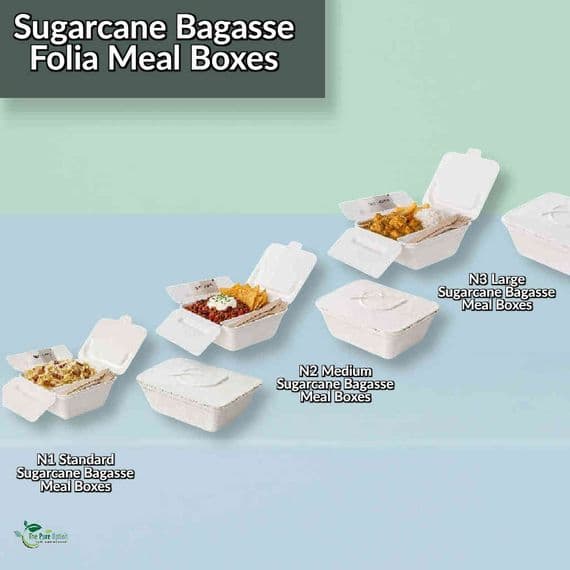 Simply White Folia Bagasse Food Box with Storage Flaps | Box of 300