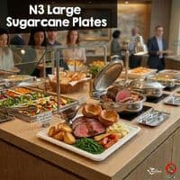 Sugarcane Bagasse Tableware Range: Eco-Friendly & Compostable | Packs of 50–125)