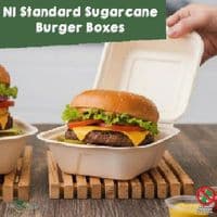 Sugarcane Bagasse Takeaway Food Boxes | Eco-Friendly Compostable Clamshell Meal Containers | Plastic-Free Street Food Catering Boxes