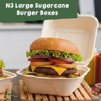 Sugarcane Bagasse Takeaway Food Boxes | Eco-Friendly Compostable Clamshell Meal Containers | Plastic-Free Street Food Catering Boxes