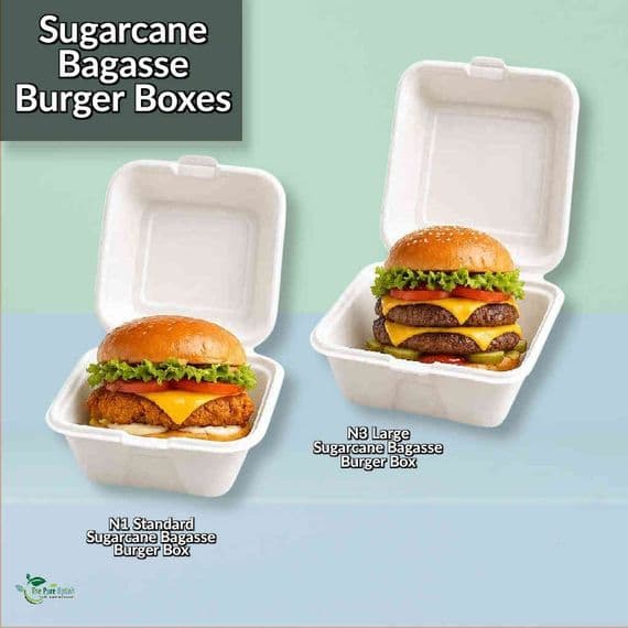 Sugarcane Bagasse Takeaway Food Boxes | Eco-Friendly Compostable Clamshell Meal Containers | Plastic-Free Street Food Catering Boxes