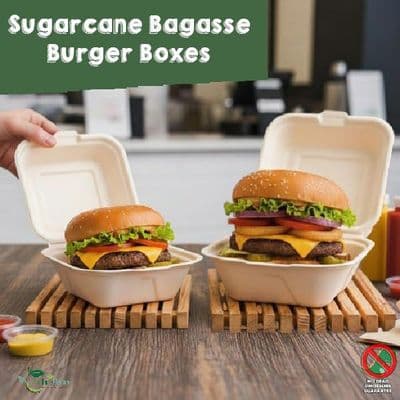 Sugarcane Bagasse Takeaway Burger Boxes | Compostable & Eco-Friendly | Bulk