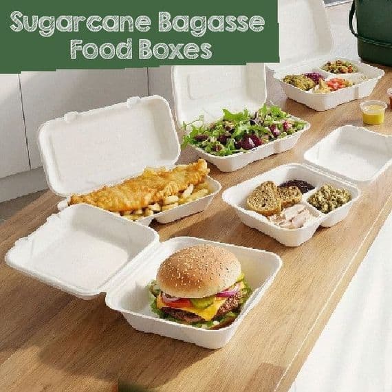 Purely White Sugarcane Takeaway Boxes | Compostable & Leak-Proof