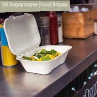 Purely White Sugarcane Takeaway Boxes | Compostable & Leak-Proof