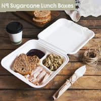 Purely White Sugarcane Takeaway Boxes | Compostable & Leak-Proof