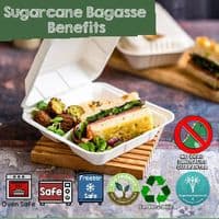 Purely White Sugarcane Takeaway Boxes | Compostable & Leak-Proof