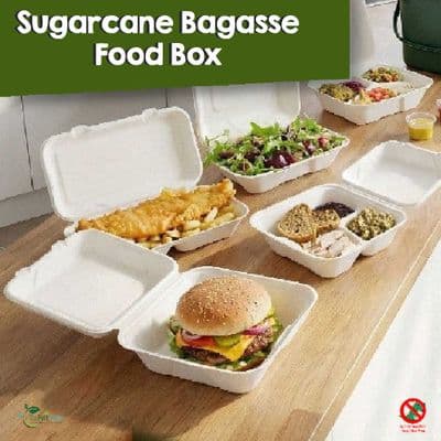 Sugarcane Bagasse Takeaway Food Boxes | Compostable & Eco-Friendly Clamshells | Bulk