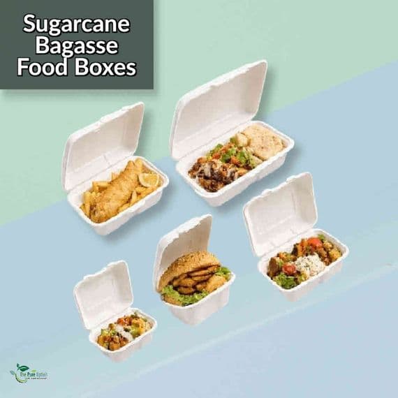 Purely White Sugarcane Takeaway Boxes | Compostable & Leak-Proof