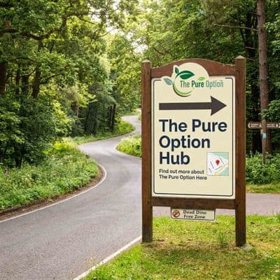 The Pure Option Hub