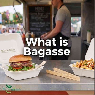 What is Bagasse