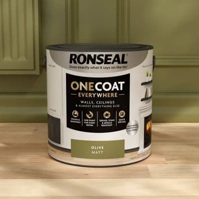 One Coat Everywhere - Olive 2.5l