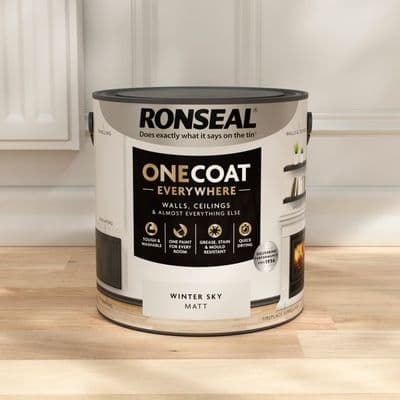 One Coat Everywhere - Winter Sky 2.5l