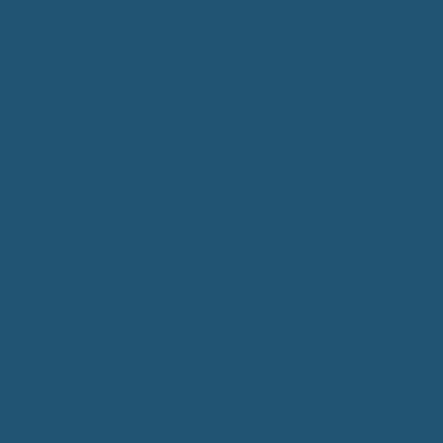 Polyvine Acrylic Enamel French Blue 20g