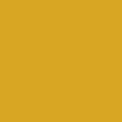 Polyvine Acrylic Enamel Yellow 20g