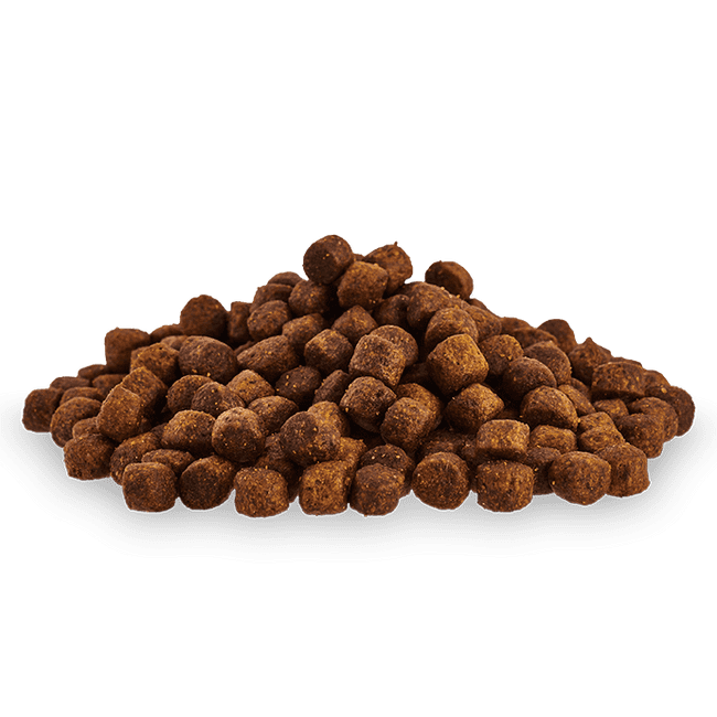 Free Sample - One per customer