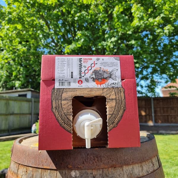 Bag in Box Fresh Beer - 34 Pint Polypin