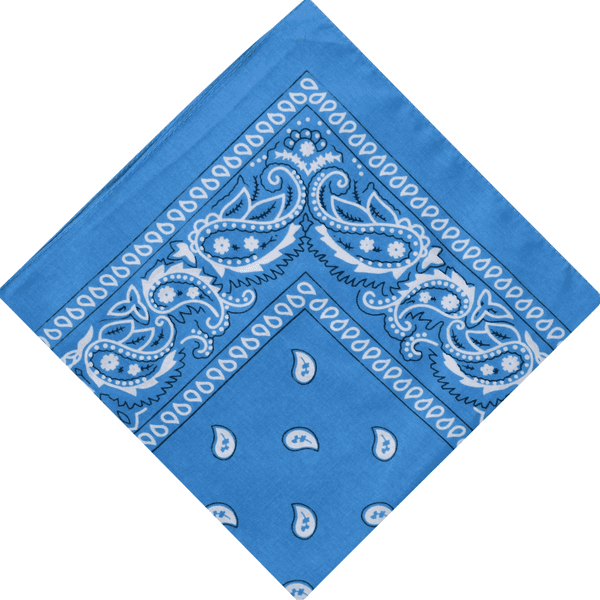 Aqua blue paisley bandana