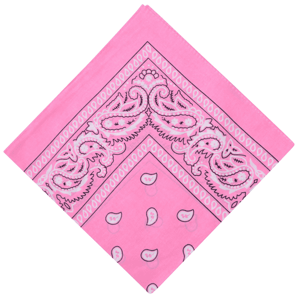 baby pink paisley bandana