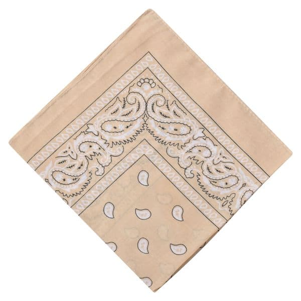 Beige Paisley Bandana