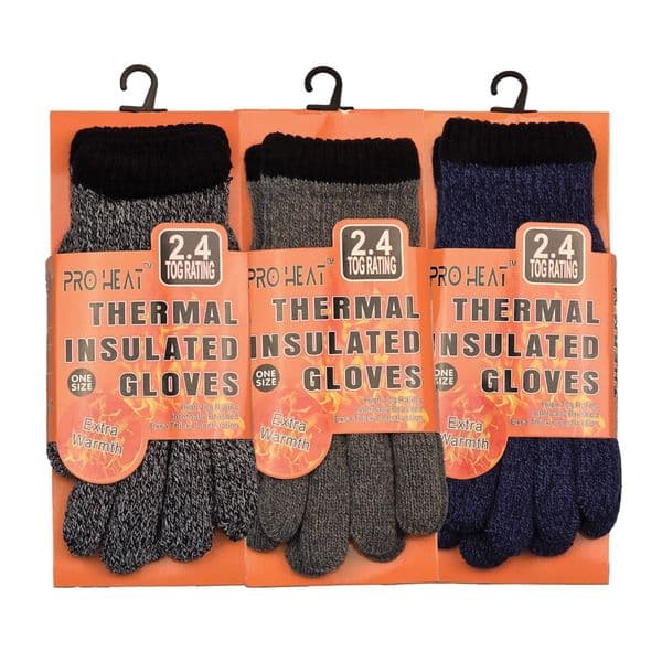 Boys Thermal Gloves Mix Color