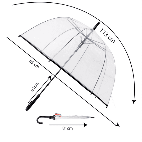 Clear Black border Umbrella
