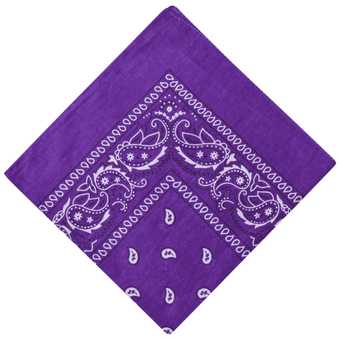Dark purple paisley Bandana