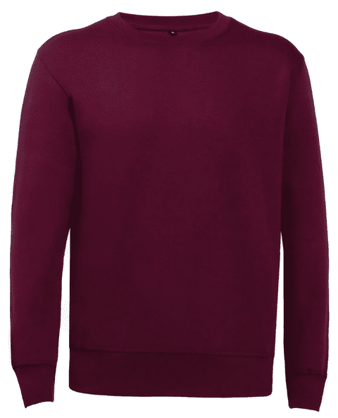 Maroon Sweatshirt Fleece Top