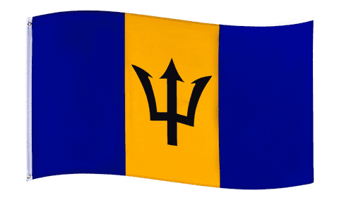 Wholesale Barbados flag