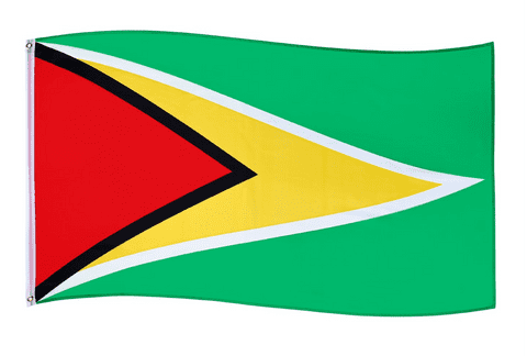 Wholesale Guyana flag