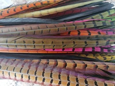 Cock Pheasant Centre Tails