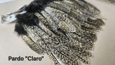 Coq de Leon Pardo claro