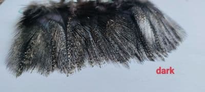 Coq De Leon Rinonada Dark