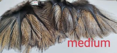 Coq De Leon Rinonada Medium