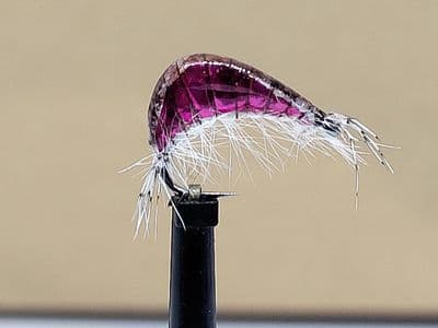 Gaga Shrimps Dark Pink