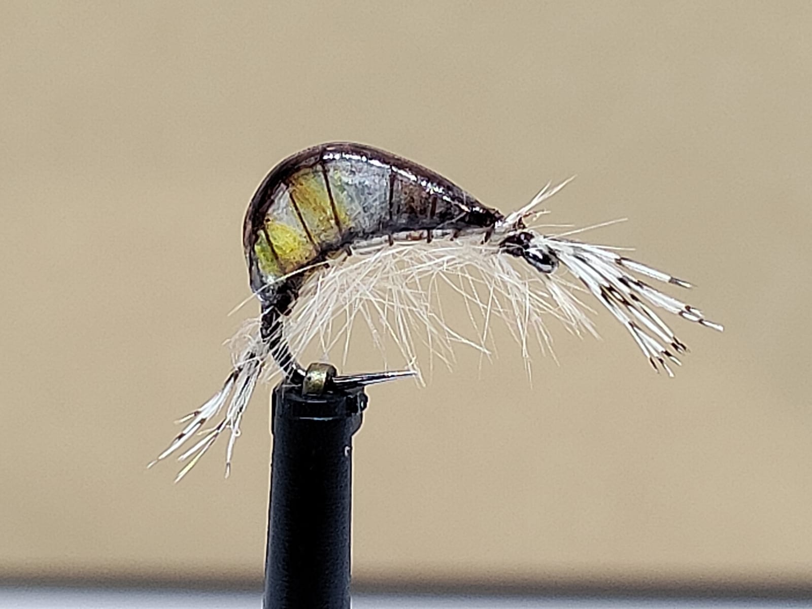 Gaga Shrimps Golden '2'