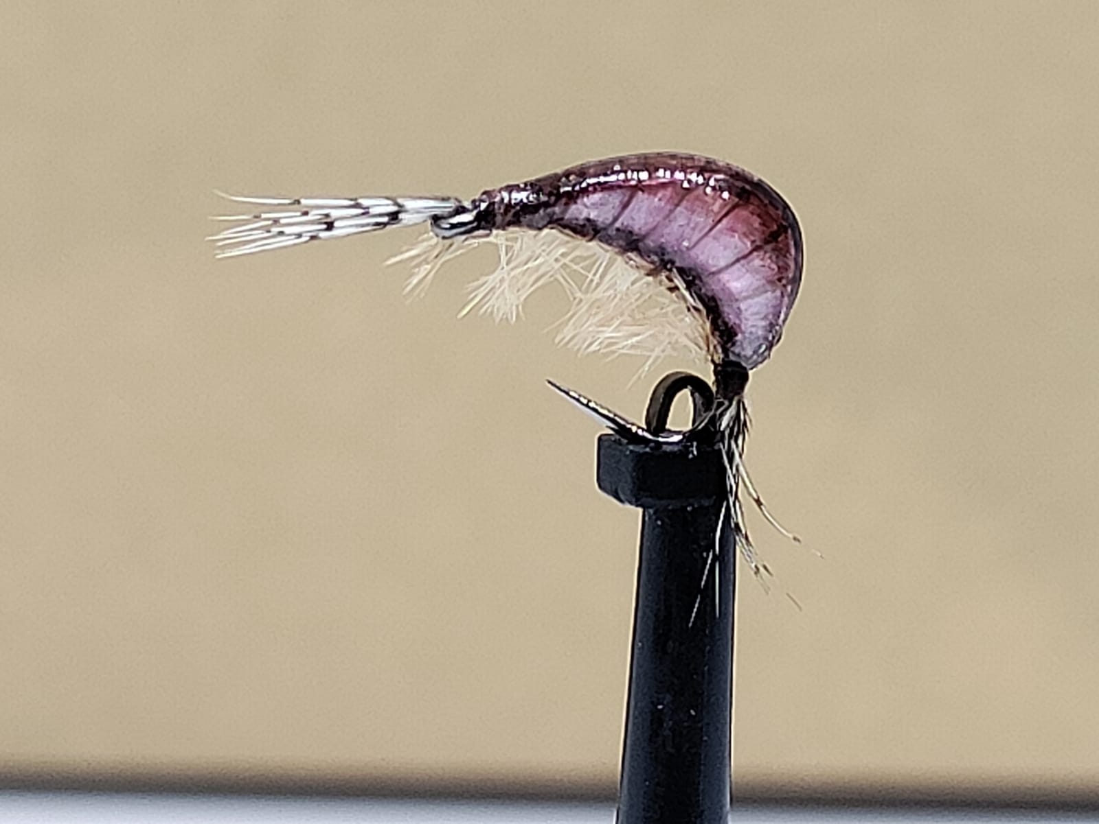 Gaga Shrimps Light Pink '10'