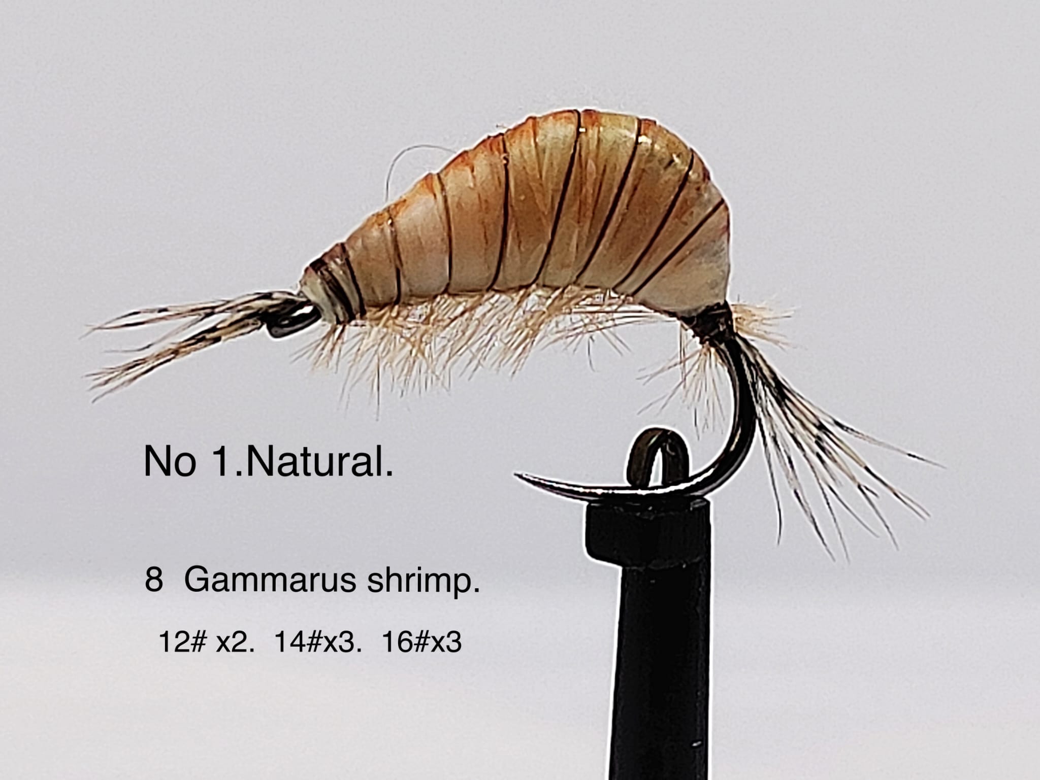 Gaga Shrimps Natural '1'