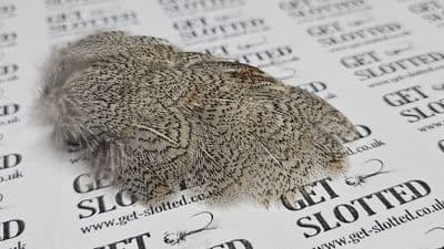 Grey Partridge  Neck and Breast Select 50