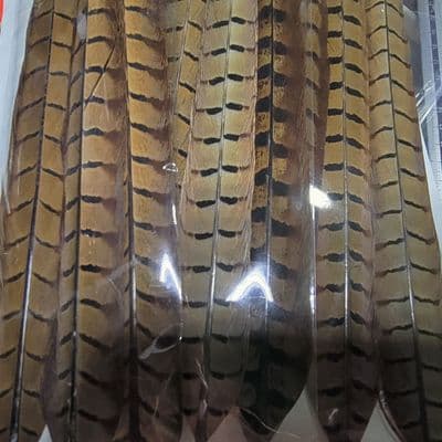 Natural Pheasant Tails 