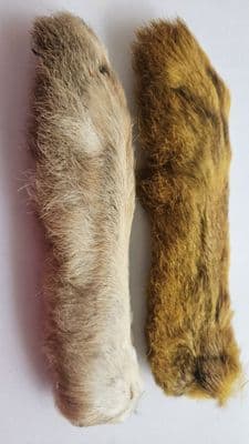 Patagonian Hare Feet