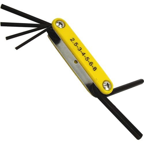 Antiference 6 Pcs Folding Metric Hex Key Set