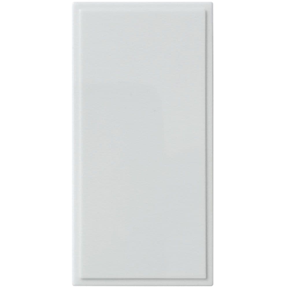 Triax Single Blank White Module 25x50mm