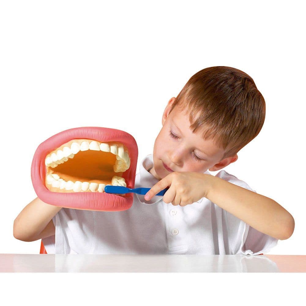 Giant Teeth Puppet Model