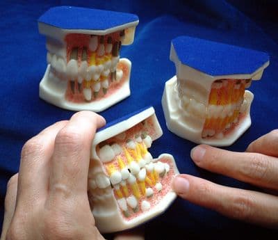 Lifesize Development 3/6, 5/9 & 9/12 years