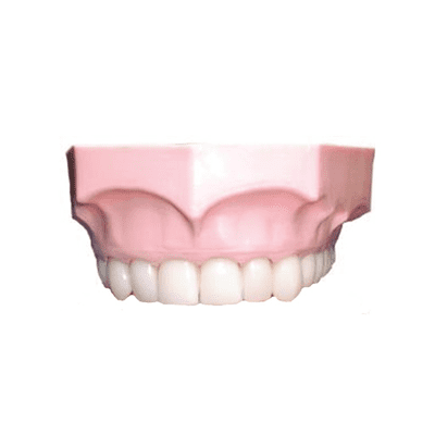 Natural Nasher - single upper only