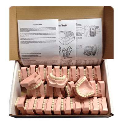 Natural Nashers Classroom Pack (30 uppers)