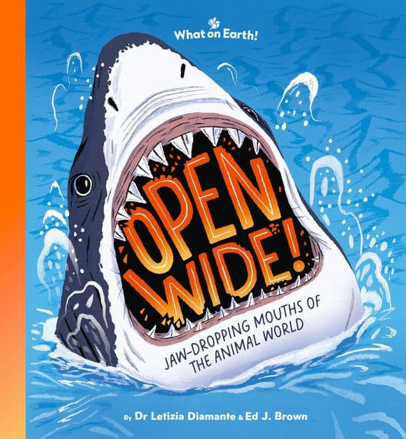 Open Wide - Marvellous Mouths