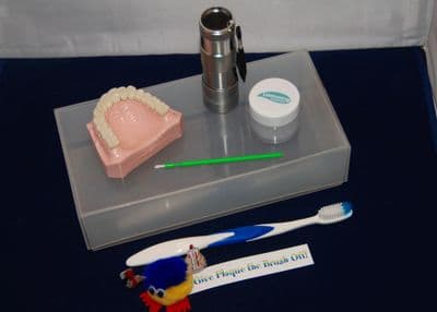 Plaque Searcher Model Kit