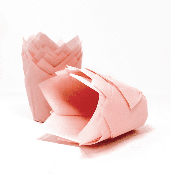 Pale Pink Tulip Muffin Wraps/ Cake Cases
