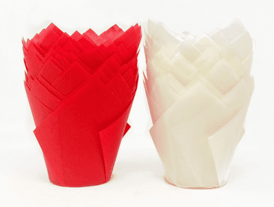 Tulip Mixed Pack - Red & White